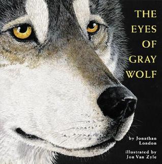 The Eyes of Gray Wolf (Paperback)