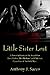 Little Sister Lost: A Powerful Story of the Search for Anna Lieber, Her Husband and Children, Casualties of the Cold War.