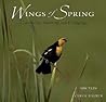 Wings of Spring: Courtship, Nesting, and Fledging Wings of Spring: Courtship, Nesting, and Fledging