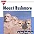 Mount Rushmore (Let's See Library - Our Nation)