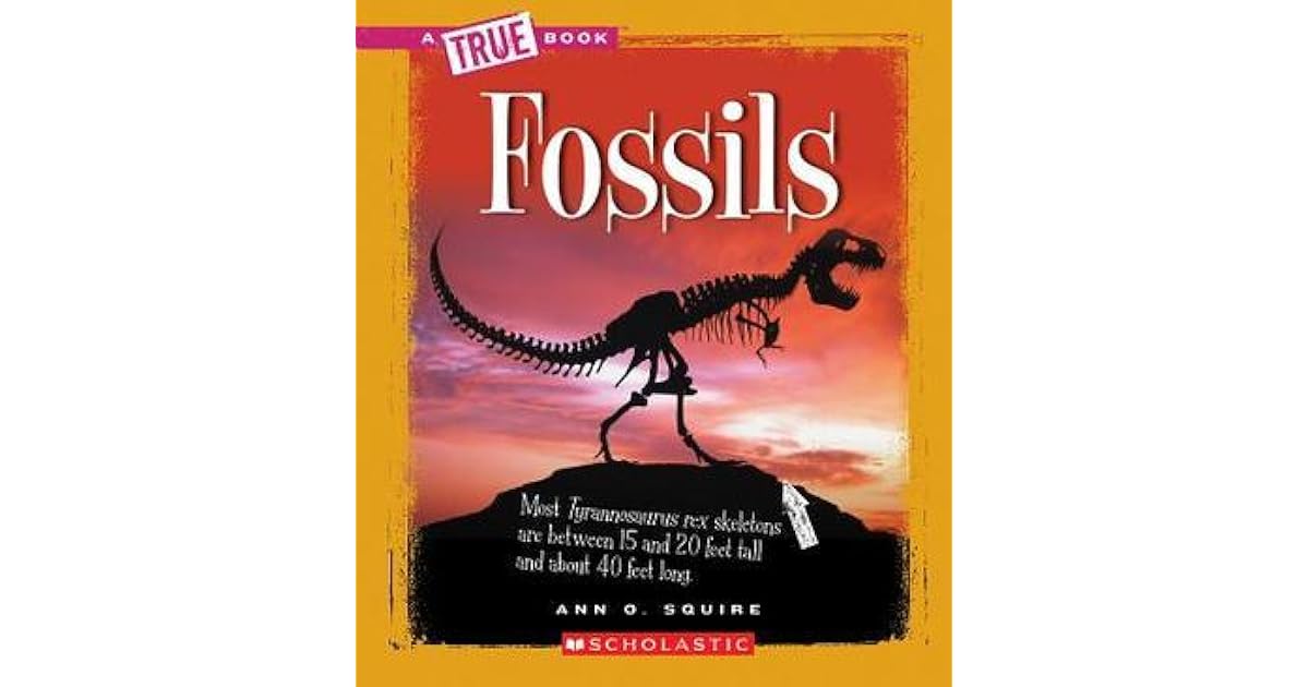 Fossils by Ann O. Squire