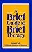 A Brief Guide to Brief Therapy