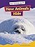 How Animals Hide (Amicus Readers: Our Animal World, Level 1)