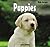 Puppies (Baby Animals)