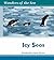 Icy Seas (Wonders of the Sea)