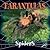 Tarantulas (Spiders Discovery)