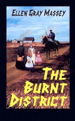 The Burnt District (Paperback)