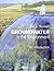 Groundwater in the Environment: An Introduction