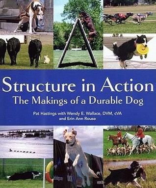 Structure in Action: The Makings of a Durable Dog