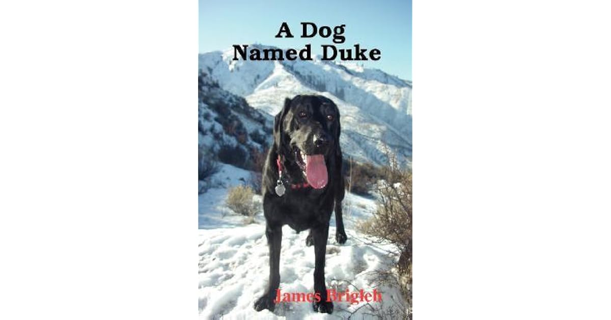 A Dog Named Duke by James Brigleb