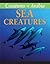 Sea Creatures (Creatures Of Arabia)
