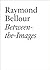 Between the Images (Documents by Raymond Bellour