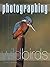 Photographing Wild Birds