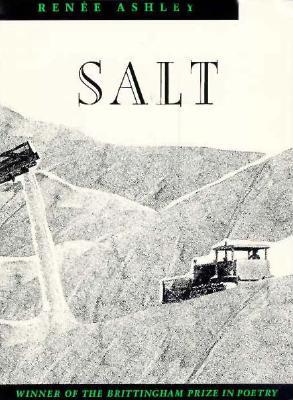 Salt (Paperback)