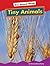 Tiny Animals (Amicus Readers: Our Animal World, Level 1)