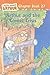Arthur and the Comet Crisis (Marc Brown Arthur Chapter Books (Pb))