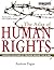 The Atlas of Human Rights by Andrew Fagan