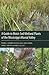 A Guide to Moist-Soil Wetland Plants of the Mississippi Alluvial Valley