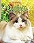 Ragdolls: Alien Cats (Cat-ographies)