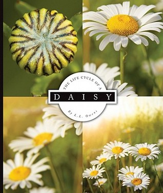 The Life Cycle of a Daisy (Life Cycles)