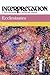 Ecclesiastes: Interpretatio...