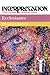 Ecclesiastes: Interpretation: A Bible Commentary for Teaching and Preaching