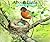 About Birds: A Guide for Ch...