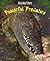 Powerful Predators (Amazing Nature)