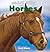 Horses (Great Pets)