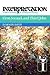 First, Second, and Third John: Interpretation: A Bible Commentary for Teaching and Preaching