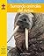 Sumando Animales del Ártico / Adding Arctic Animals (Yellow Umbrella Books: Math ~ Spanish)