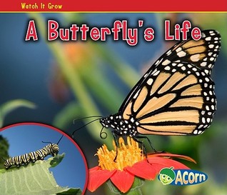 A Butterfly's Life (Paperback)