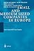 Small and Medium Sized Companies in Europe: Environmental Performance, Competitiveness and Management: International EU Case Studies