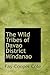 The Wild Tribes of Davao District, Mindanao by Fay-Cooper Cole