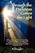 Through the Darkness Comes the Light by Ed Kugler