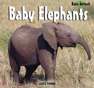 Baby Elephants (Baby Animals)