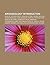 Archaeology Introduction: Bulb of Applied Force, Ground Stone, Wairau Bar, GIS in Archaeology, Arad Museum Complex, Petroglyphs Provincial Park