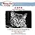 Chicken Soup for the Soul Celebrates Cats by Jack Canfield Chicken Soup for the Soul Celebrates Cats by Jack Canfield