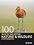 100 Ways to Take Better Nature & Wildlife Photographs. Guy Edwardes