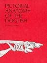 Pictorial Anatomy of the Dogfish