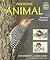 Awesome Animal Science Projects (Real Life Science Experiments)