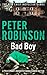 Bad Boy (Inspector Banks, #19)