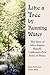 Like a Tree by Running Water: The Story of Mary Baptist Russell, California's First Sister of Mercy