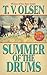 Summer of the Drums by Theodore V. Olsen