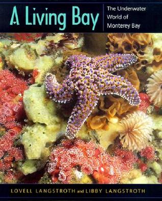 A Living Bay: The Underwater World of Monterey Bay (Paperback)