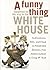 A Funny Thing Happened on the Way to the White House by David E.  Johnson
