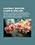Football (Soccer) Clubs in Adelaide: Adelaide City, Adelaide United, West Adelaide SC, Adelaide United FC, 2008 Afc Champions League Final