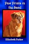 Paw Prints in the Sand