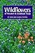 Wildflowers of Houston and Southeast Texas by John L. Tveten