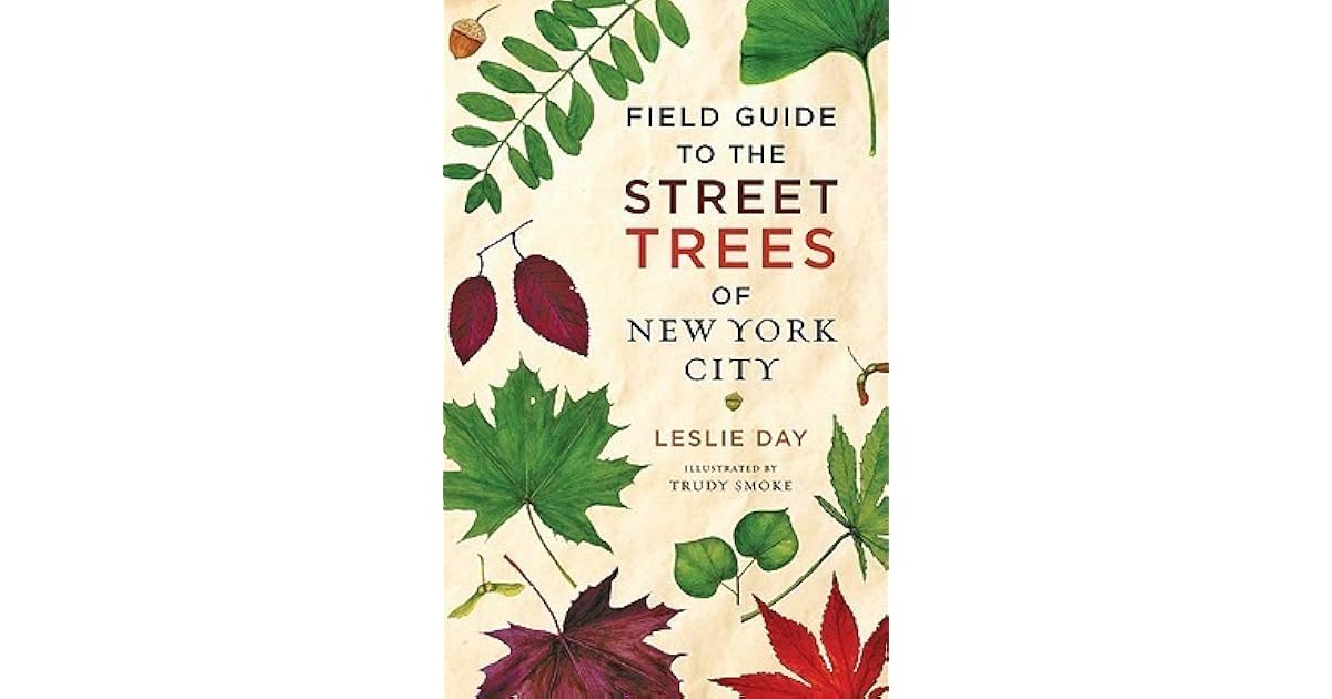 Field Guide to the Street Trees of New York City by Leslie Day